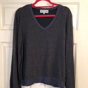 Blue Wildfox Sweatshirt